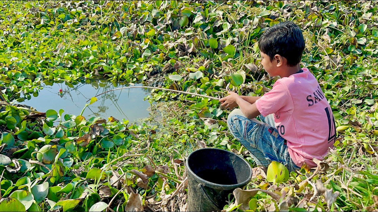 Fishing Video | The boys always catches a lot of fish from the village canal | Best fishing trap