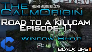 Road to a Killcam #1 (BO2) | SICK WINDOW SHOT!