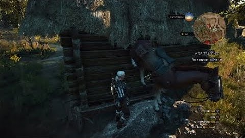 witcher 3 proof roach is bugged/Broken fall damage