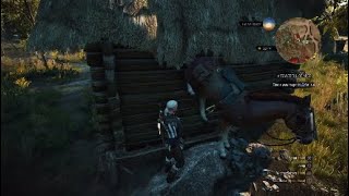 witcher 3 proof roach is bugged/Broken fall damage Profile
