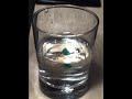 Dropping a reed into a glass of water at 842fps