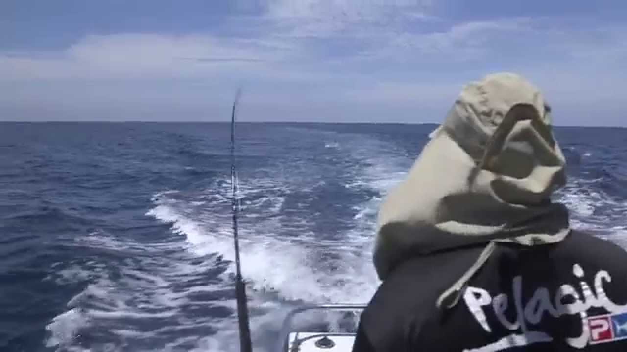 CATCHING A GIANT DORADO - Delicious Ceviche! - Carlito's Cooking Adventures