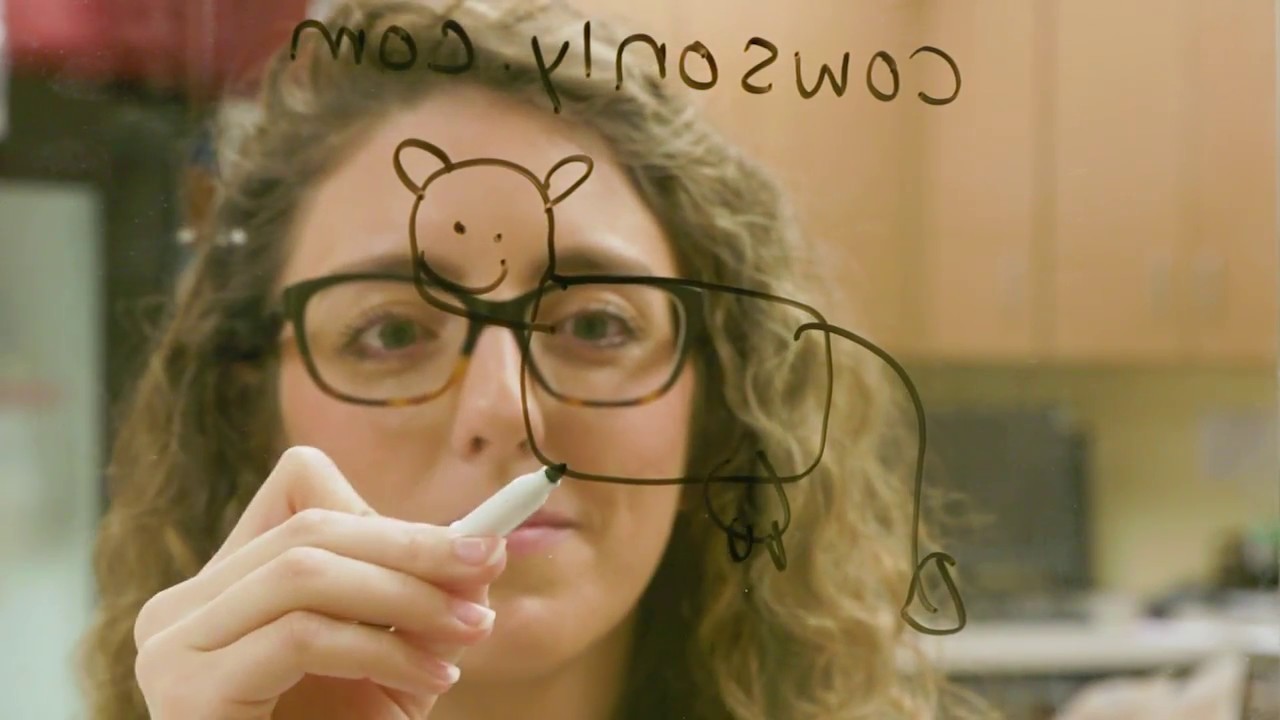 Turkey Hill Dairy - CowsOnly.com (the world's first dating website for cows!)