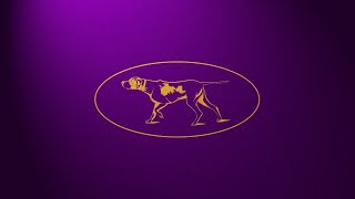 148th Westminster Kennel Club Dog Show - Day 2