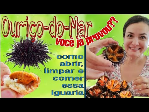 Vídeo: Como Cozinhar Ouriços Picados