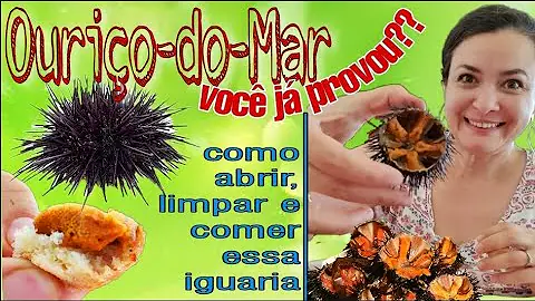 Como fazer um Ourico?