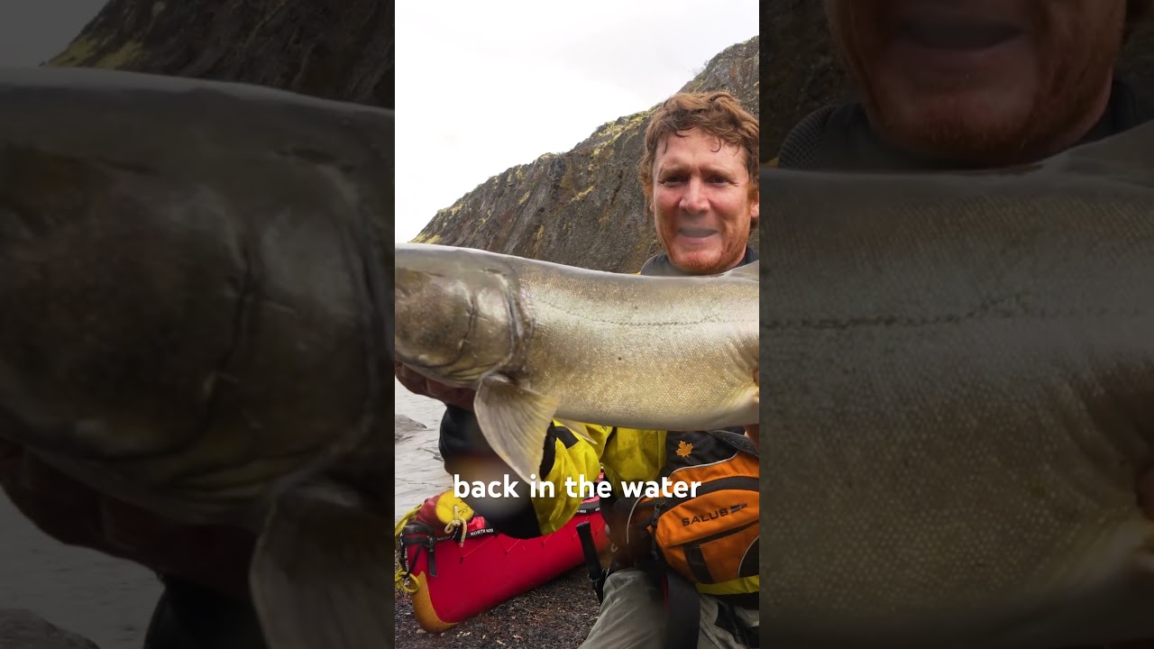 Battling a Big Trout While All Alone in the Northwest Territories