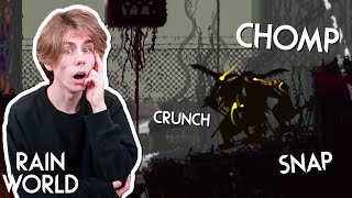 THE MIRO BIRDS STARTING FIGHTING EACH OTHER | Rain World - Part 19