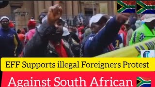 EFF Supports Illegal Foreigners Protest Against South Africans 🇿🇦