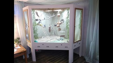 Building a Larger Flight Cage Part 1 of 4