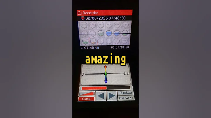 incredible nintendo dsi feature