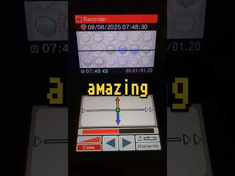 Incredible Nintendo Dsi Feature 