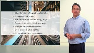 Feedback Loops (Social and Biological Focus)
