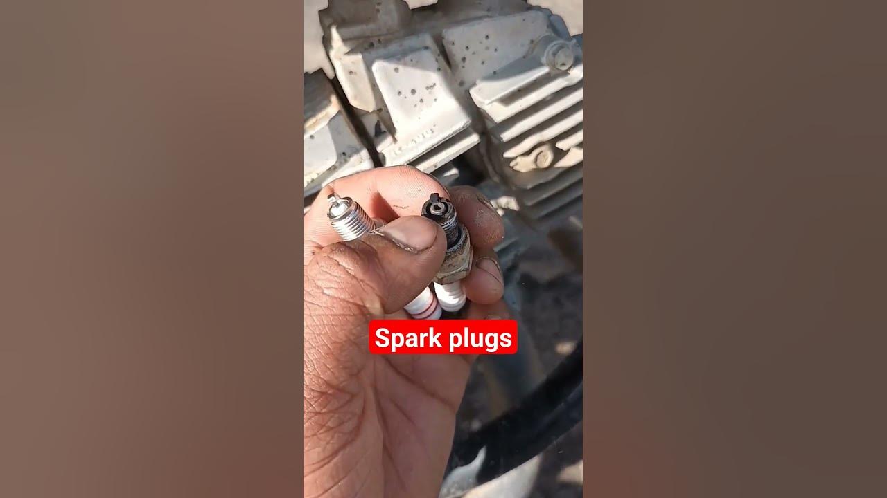 hero splendor spark plug price