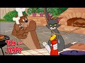 Barbecue annul  tom  jerry  genwbfrancais
