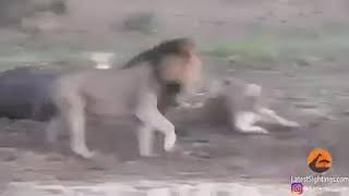 Beyler Yemiyosanız Bana Müsaade