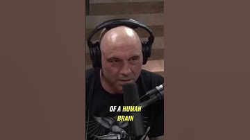 Unlocking the Secrets of Artificial Intelligence: How it Mimics Human Brain Development