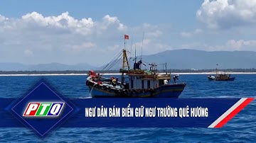 Ngư dân bám biển giữ ngư trường quê hương | PTQ