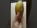 😲 Wait Till You See This Mango Art Transformation!#art #viral #shorts #dnyanuartstudio