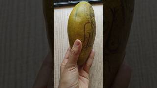 😲 Wait Till You See This Mango Art Transformation!#art #viral #shorts #dnyanuartstudio