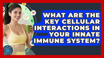 What Are The Key Cellular Interactions In Your Innate Immune System? - All About the Immune System