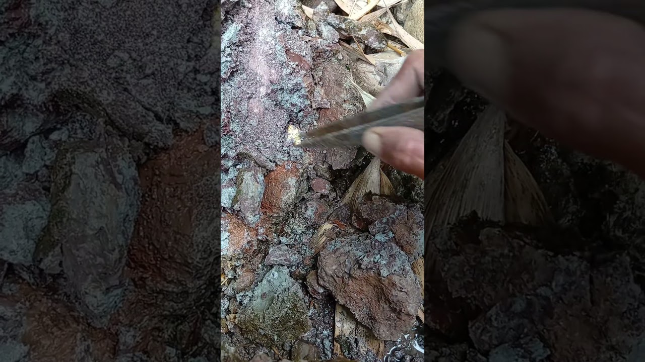 Wow😳. We found a large gold mine in the reddish marl.