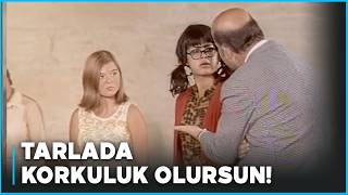 Tatlı Meleğim Türk Filmi Leyla İş Arıyor