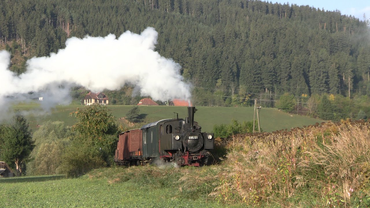 Schmalspur-Romantik in Kärnten | 699.101 auf der Gurktalbahn (4K)