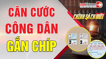 Ai Phải Đổi Sang Căn Cước Công Dân Gắn Chíp? | LuatVietnam