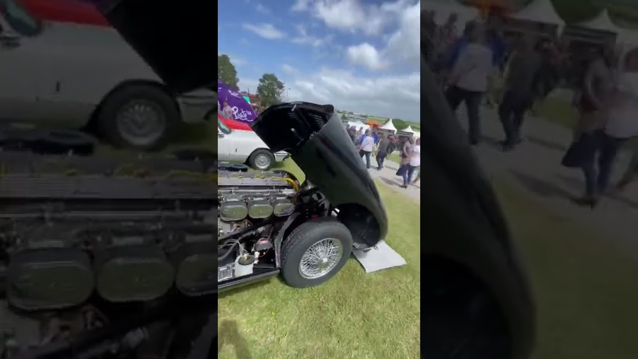 Royal Cornwall Show💕