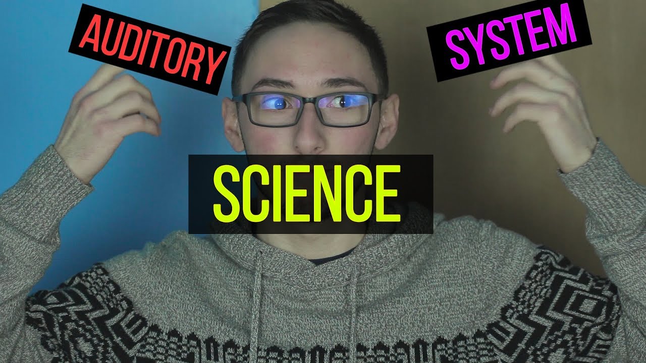 The Science Behind Human Hearing YouTube