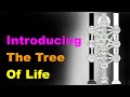 #1 The Tree of Life: A Beginner's Guide [Esoteric Saturdays]