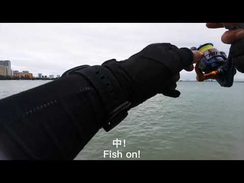 Vlog 4# ultra light shore jigging have fun 使用超輕型岸拋鐵板也可以很有樂趣