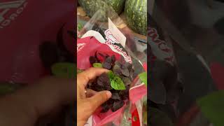 Uma folha dessa planta vale mais que mil tratamentos hoje. #dicas #yt #plantas #saude #shortsviral
