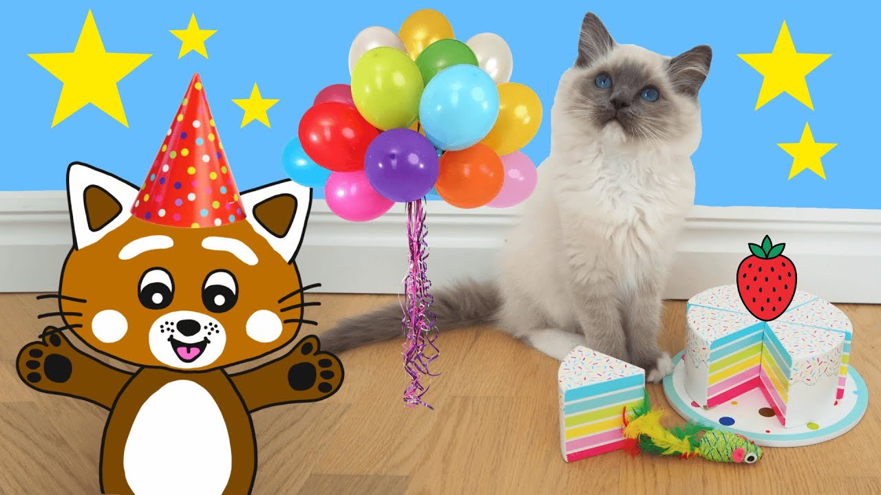 Pukkins och kattungen Frasse firar födelsedag - Lek och lär dig färger - Lek med oss