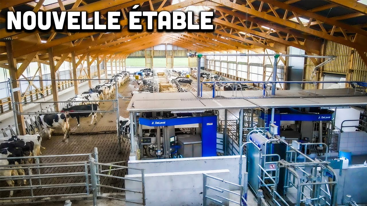 Une nouvelle étable à vache pour ce GAEC Breton !