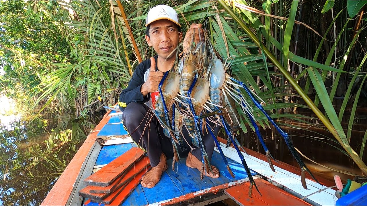 Tak sia-sia mancing sampai bermalam diperahu, akhirnya panen udang besar lagi