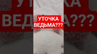 УТОЧКА ВЕДЬМА??МИШЕЛЬ КАК МОЖНО?