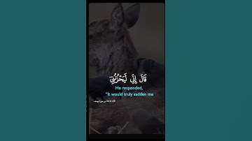 #قرآن #قران_كريم #سورة_يوسف #خالد_الجليل #السعودية #المغرب #اكسبلور #اللهم_صل_وسلم_على_نبينا_محمد