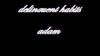 Adam - Delinquent Habits