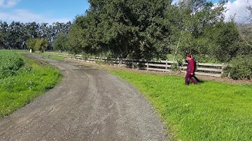 Overlapping person pixel labeling for semantic segmentation