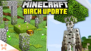 15 Birch Forest Updates Minecraft Needs!