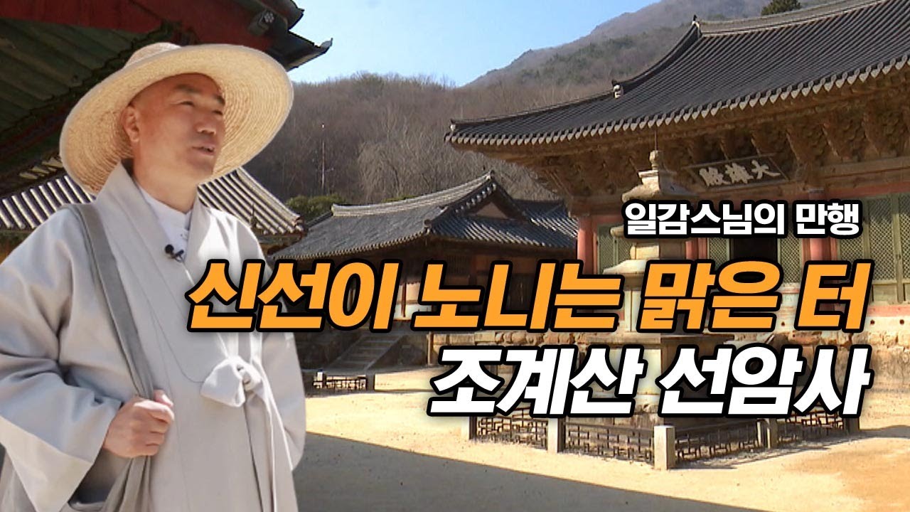 신선이 노니는 맑은 터 조계산 선암사 [일감스님 만행]