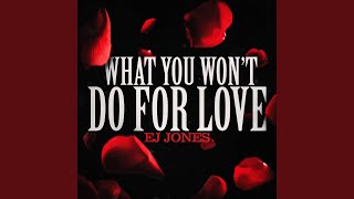 What You Won’t Do for Love - EJ Jones