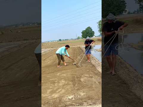 मेहनती Kisan #farming #farmerstruggle #viral #shortsviral #shorts #farmlife #automobile