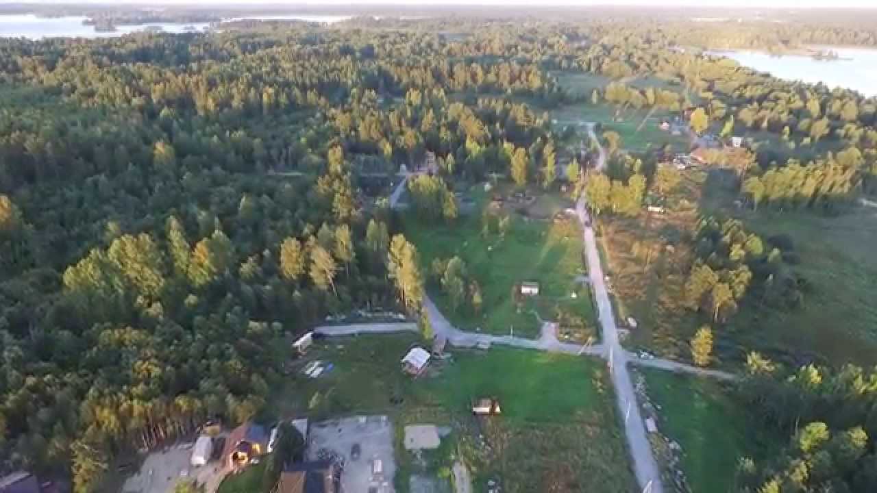 Калина хутор ильинка
