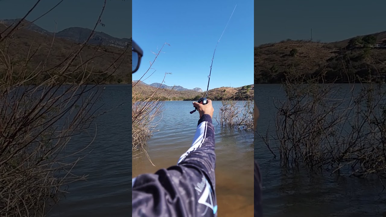 carretilha SEASIR zero vx