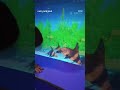 Fish 🐟 🐠 Aquarium ( science city)