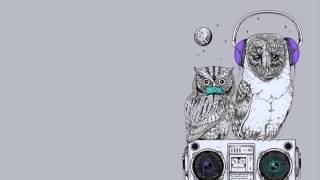 Nancy Sinatra - Bang Bang Frenk Dublin Dubstep Remix