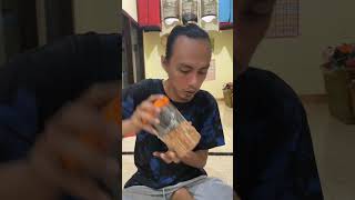 Mix Food First For Redsiskin  Mozambique birds chirpingmania qinarabanyuwangi